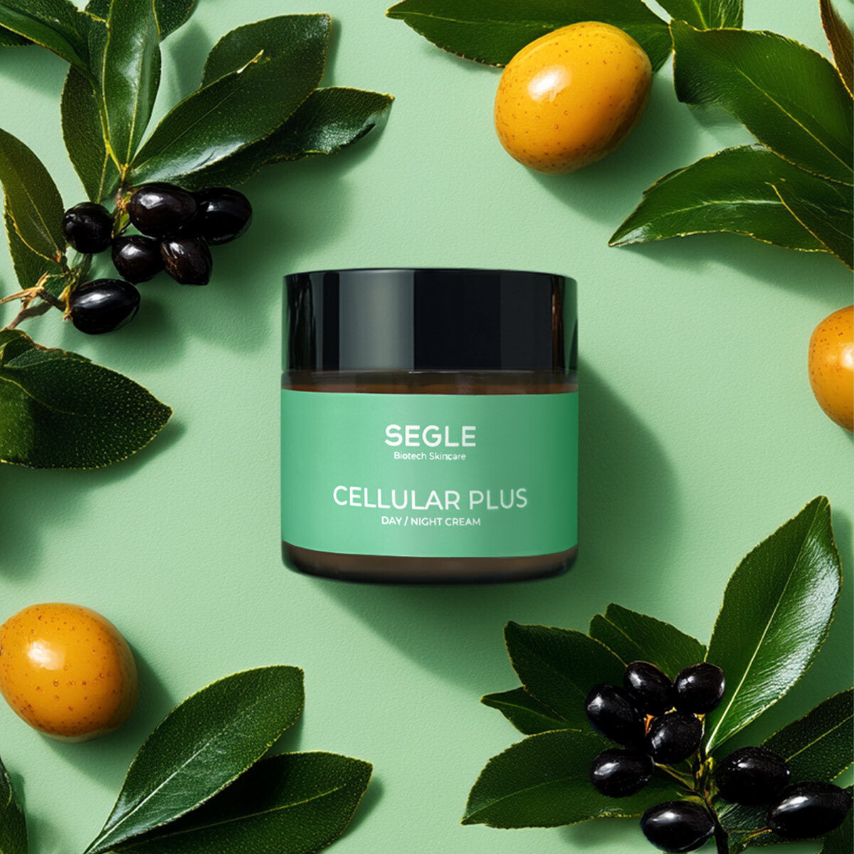 SEGLE Cellular plus crema 50ml